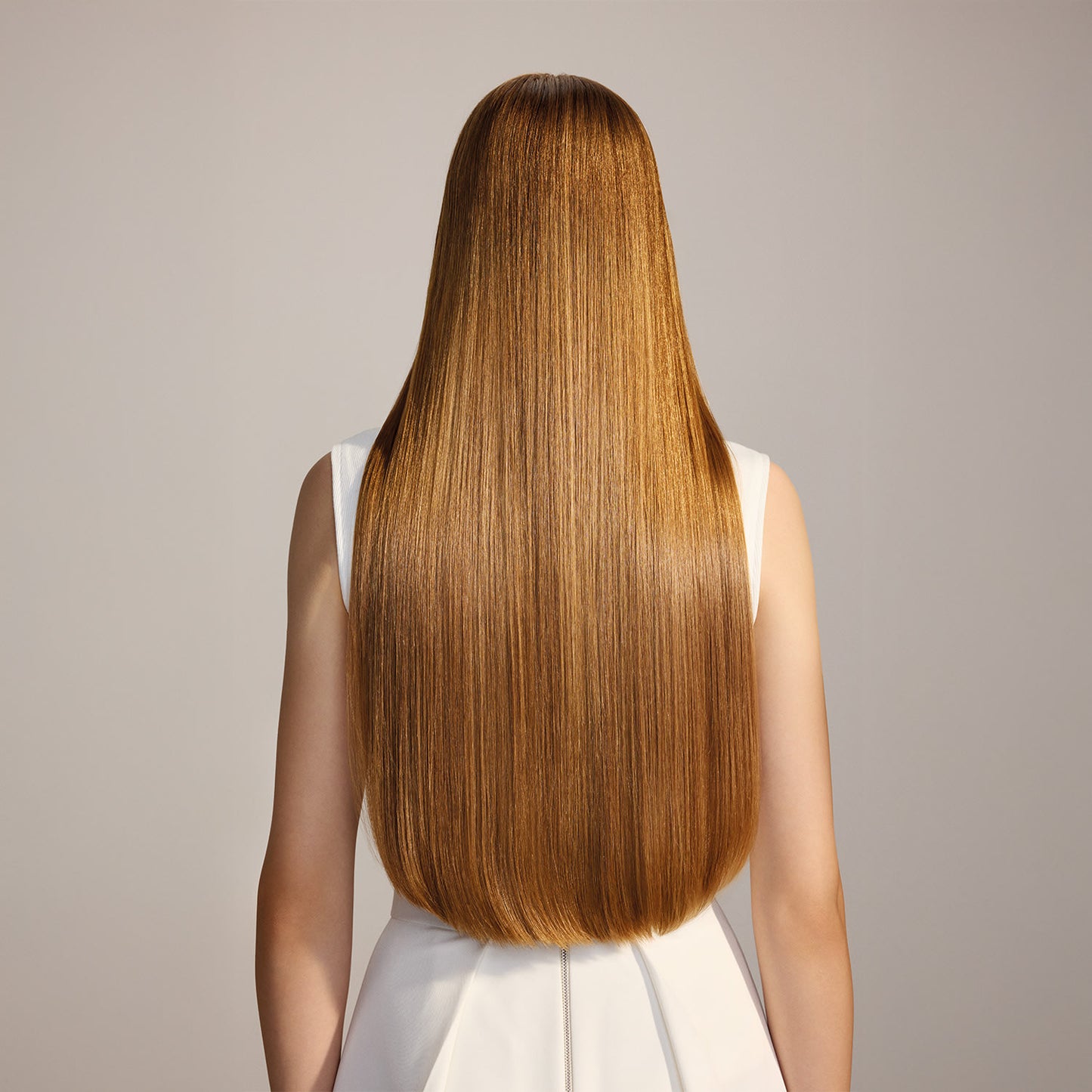 Truss Equilibrium Scalp Modelo